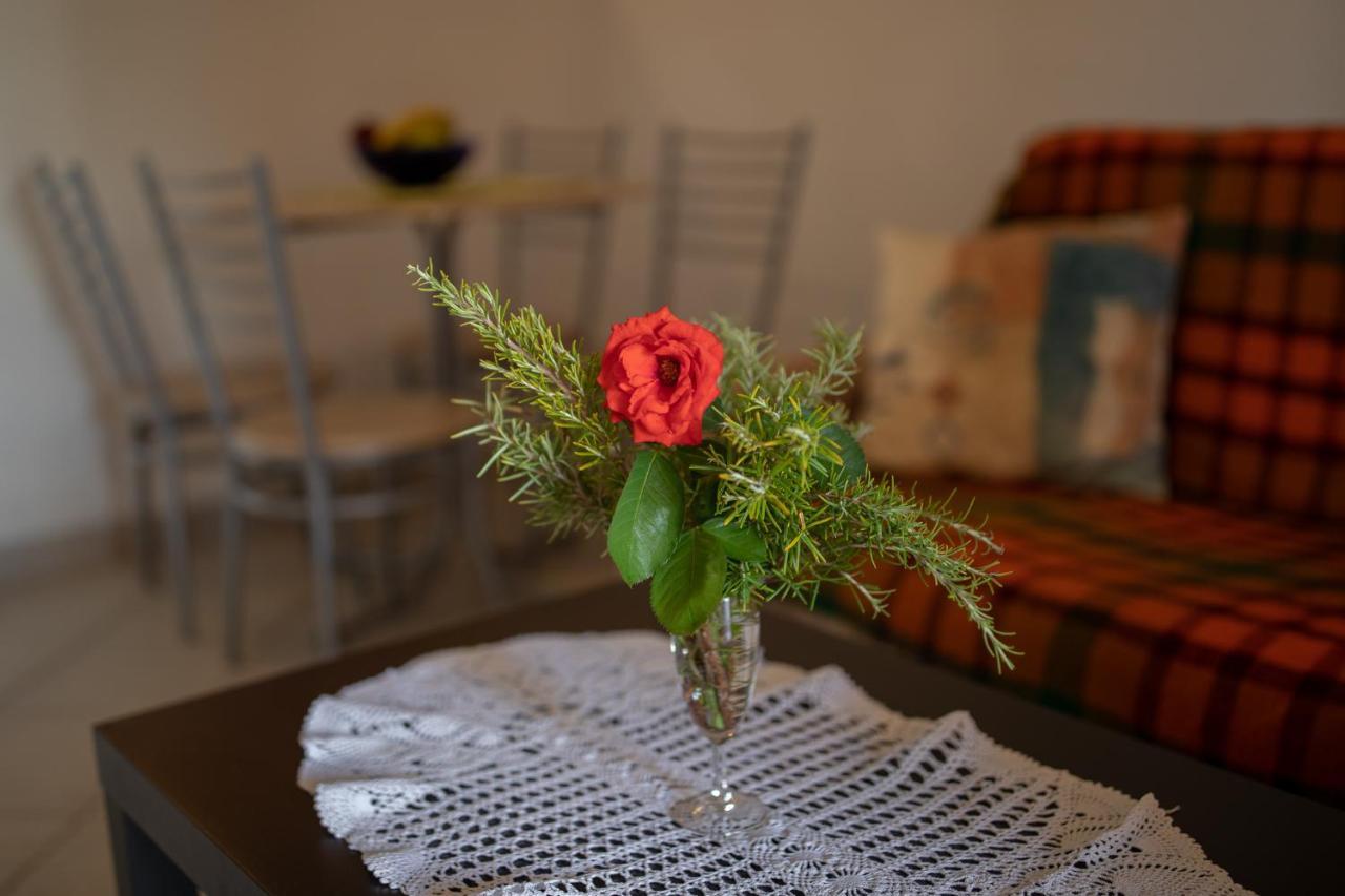 Apartman Kristo Vir Εξωτερικό φωτογραφία